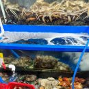 믿음상회 이미지