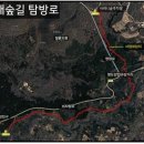 남조로 사려니숲길입구 Daum카페