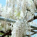 무안북중학교 이미지