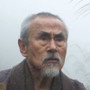 오이다(oida) 이미지