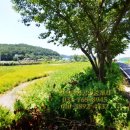 원주토지공인중개사사무소 이미지