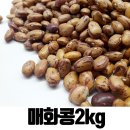 콩새알