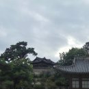 안녕남로 | 때로는 솔직하지 않아야 하는 순간도 있다.