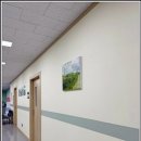 SD메디칼 이미지