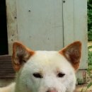 아람이네 이미지