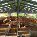 중우축산 이미지