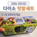 고기친구 | 다이소 고기친구 텃밭세트 식물키우기 키트 후기 상추 &amp; 적겨자
