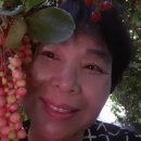 명산농장 이미지