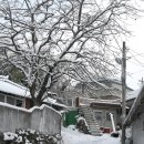 감나무집공할머니민박 이미지