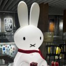 다이브갤러리 | 광안리 아기랑 가볼 만한 곳 포디움다이브 미피 70주년 생일 기념 전시회 굿즈존