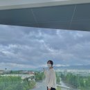 플라플로 (PLFL) 이미지