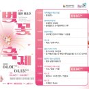 2025년 제천 청풍호 벚꽃축제 행사안내 및 4월 3일에 방문후기