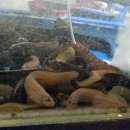 무진장횟집 이미지