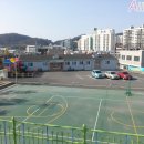 서해대학부속유치원 이미지