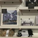 쇼어컴퍼니 이미지