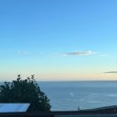 스테이 섬씽 울릉도 이미지