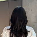 CU 서교타워점 | [교대역 미용실 추천] “오즈 서초교대점” 매트브라운 염색, 레이어드 커트 후기~!