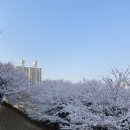 신석체육관 네이버블로그