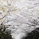 청려수련원 이미지