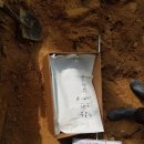 대한부동산 이미지