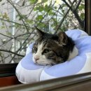 유석 동물병원 이미지