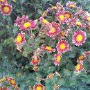 옥수동성당 이미지