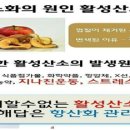 운동공장 이미지