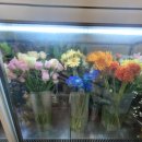 천안축산업협동조합 | 💐 [천안꽃집] 청담플라워에서 3만원 꽃다발 픽업! 퀄리티에 깜짝 놀랐어요🌼