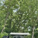 천안OK캠핑 이미지