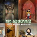 조안베어뮤지엄 | 제주 비오는날 가볼만한곳, 조안베어뮤지엄 입장료 할인중(ft.자석 키링 후기)