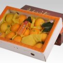 향긋농장 이미지