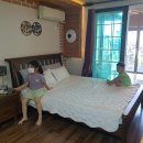 솜니움트리 이미지