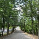 대공원치안센터 이미지