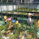 화명1동 주민센터 이미지