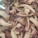 서영택농장 이미지