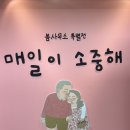 소중한 하루를 선물처럼 | 봄사무소 특별전 부산 전시 후기