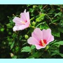 달콤한위로 - 15674 | 달콤한위로