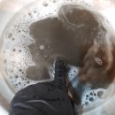 미래크리닝 이미지