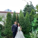 서롤 | 스투디오 사이 헤어변형 서로 예리 알루예리 추천 후기 + 다진쌤 (예약방법, 웨딩염색)