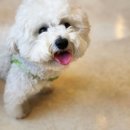 달빛초가하우스 이미지