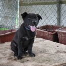 두환농장 이미지