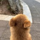 부석농협 하나로마트 이미지