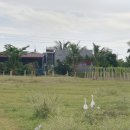 용등농장 이미지