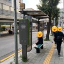 건민약국 이미지