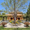 죽림5로 이미지