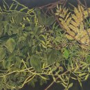 목원대학교 일반대학원 이미지