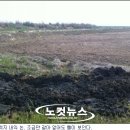 보전간척지 이미지