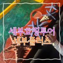 세부 4살아이와 호핑투어 세부플러스 이용후기