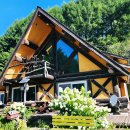 세쌍둥이네 풀꽃세상 이미지