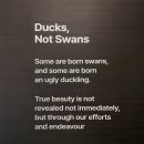 푸른마트 4층 | 여행ㅣ거제도 호텔 '한화리조트 거제 벨버디어' 스위트 호텔형 오션뷰(거가대교 뷰) 어메니티, 이용 후기